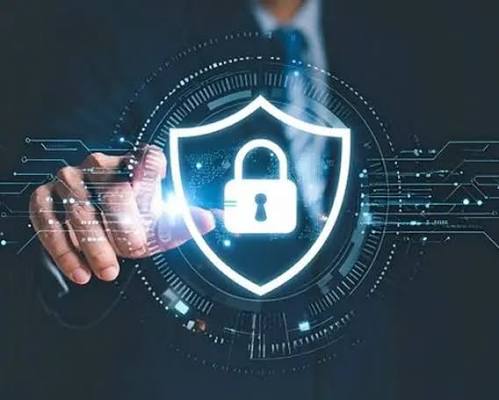 Website Security: Why Every Business Website Needs Protection